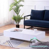 میز جلومبلی اسپرت fabtable-287