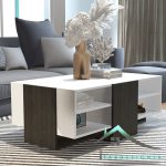 میز جلومبلی اسپرت fabtable-310